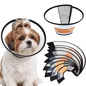 애견 애묘 넥카라 강아지 중성화 깔대기 고양이 목 보호대 중형