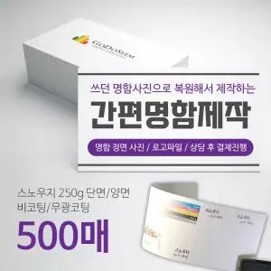 명함 주문 제작 쓰던 명함 사진 복원 스노우지 500매