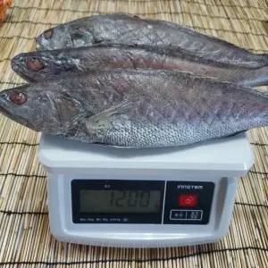 반건조 통 민어 34cm내외 3마리 국내산 와사비 믹스간장 동봉