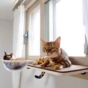 [펫502] 고양이 창문캣타워 창틀해먹 미니 원목 먼치킨 캣워크 투명해먹 사각 타원 2TYPE