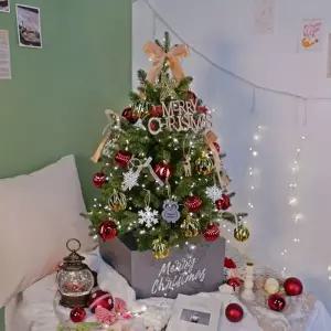 [텐바이텐][비솜] 90cm 감성 그린트리세트(미리내전구200P포함) 지네전구