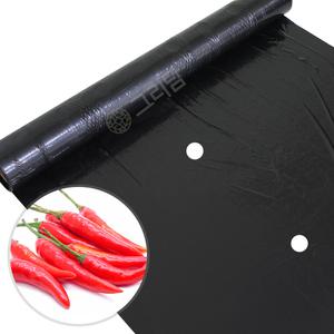 고추 전용 유공 멀칭비닐 텃밭 농사용 검정 고추비닐