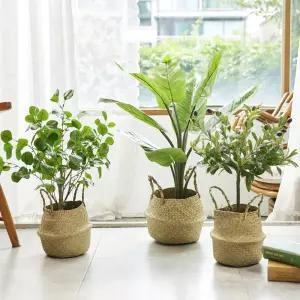 홈즈 조화나무 인조화분 플랜테리어 인테리어 조화모음전