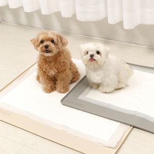 펫토리아 안밀려 논슬립 강아지 패드 미끄럼방지 배변판매트 실리콘 배변매트 표준형 대형