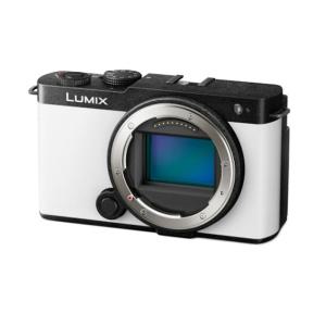 파나소닉 루믹스 S9 바디 단품+정품추가배터리/TR