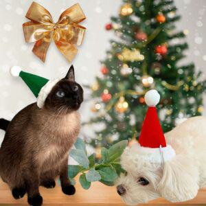크리스마스 고양이 고깔모자 강아지 산타모자 꼬깔