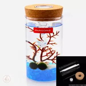 마리모 키우기 유리병8X19CM 마리모어항LED