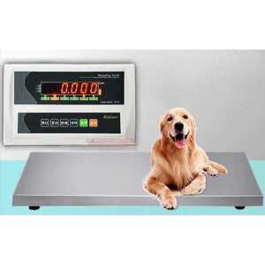 중형견 체중계 소형 애견 스테인리스스틸 반려동물 바닥 저울 동물병원 미용