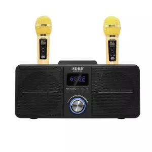 SDRD 블루투스 무선 마이크 오디오 가정용 노래방 스피커