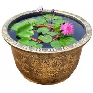 초대형 플라스틱 수반 연꽃 수련 마당 대형 꾸미기