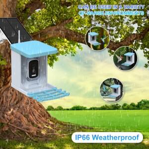 5MP 1944P 트리홈/iCsee 앱 태양광 시계형 무선 IP 카메라 조류 관찰 CCTV 모니터