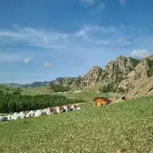 [밤출발]몽골/테렐지 4일 #현대식게르[2인1실]#노쇼핑#초원승마#낙타체험#별자리찾기#루프탑바