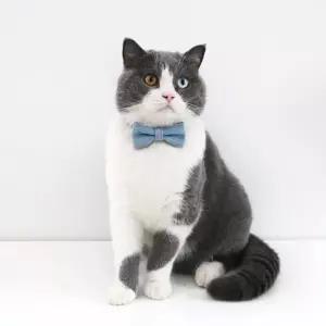 애견 데님 넥타이 목줄 강아지 고양이 목걸이 리본목줄