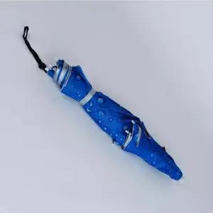 중형 쓰는 머리에 머리우산 블루 2단 WFFNZ66