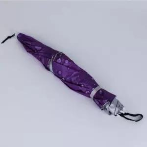 중형 머리에 2단 머리우산 퍼플 쓰는 WFFNZ65