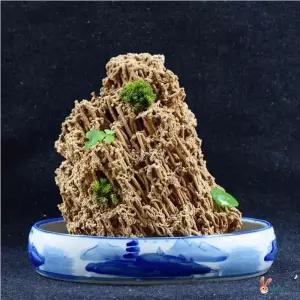 수석 수반 받침 원형 세라믹 청자 타원형 받