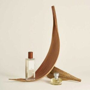 말린 오브제 장 말린잎 카페 제품 식물 메인 잎의조합 촬영소품 사진 천연