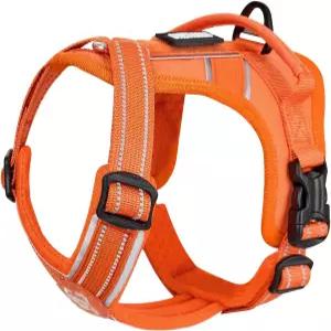 목줄 세트가 있는 원티그리스 개 하네스 초소형/소형 반려견을 위한 두꺼운 패딩 ANTZ 조끼가 당김 조절