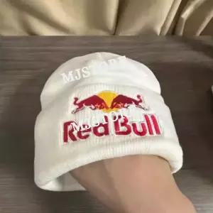  F1 레드불 자수 겨울 비니 러닝 모자 방한 스노우보드 등산 스키 털모자