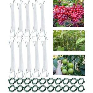 끈이 달린 30개의 토마토 후크, 식물 지지 클립, 33피트 정원 트위니 - 토마토, 오이, 고추, 덩굴 재사용 가능한 대형 트렐리스