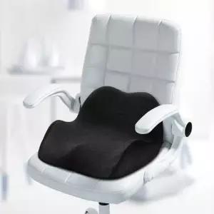 바른자세 허리지지대 학생 직장인 메모리폼 방석 WEE91BD