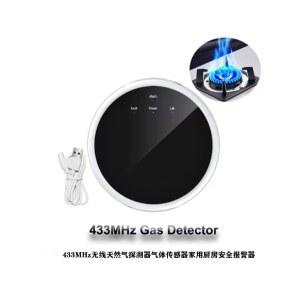 스마트 가스 누출 밸브가 시스템용 일산화탄소 메탄프로판공동천연 하이만 가정용 보호