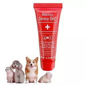 강아지피부염 피부 연고 10ml 상처 손상피부케어 강아지발습진