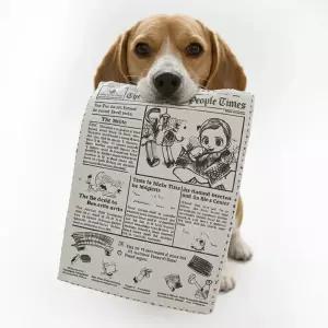 강아지 장난감 노즈워크 훈련 놀이 분리불안 이갈이 바스락북 3장