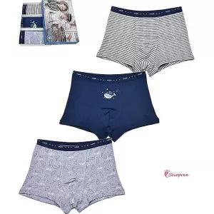 동화 코튼 아웃밴드 남아동 드로즈팬티 스판 실키 3매 어린이 주니어 초등 속옷klm035