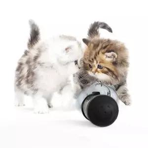 [콩심팥심]노즈웍볼 고양이간식볼 강아지 재밌는볼 노즈워크 반려용품