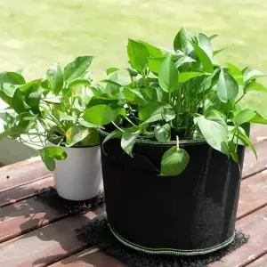 [콩심팥심]부직포 화분 2p세트 감자 모종 베란다 텃밭 실내재배화분