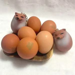 [에이치플러스몰]시바견 에그 피규어 달걀 형태 가방 장식용 소품 시바 인형