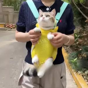 고양이 하네스 띠 가슴 가방 개 이동 이동띠 휴대용 S 블루