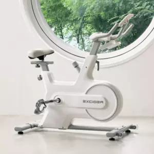 엑사이더 즈위프트 ERG 스핀 바이크 자전거 실내 홈트