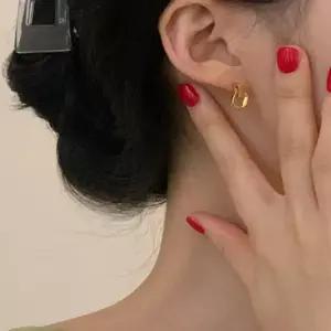 (써지컬) Os Unit Earrings E 12