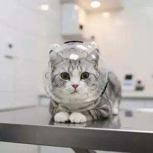 [골드스마일]우주선 헬멧 고양이 입마개 물림 입질방지 중형묘