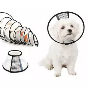 강아지 고양이 목 보호대 애견 애묘 중성화 깔대기 넥카라 소형