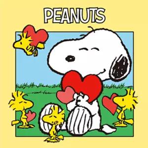 DIY 그리기 페인팅 피너츠 스누피 러브투유 25X25
