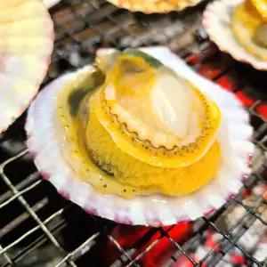 여수 돌산 제철 국내산 흑백 가리비 생가리비