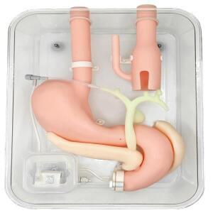 위내시경 수술 훈련 모델, 점막하 박리 시뮬레이션, ESD ERCP