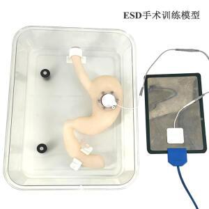 위내시경 훈련 ESD 수술 모델, 점막하 절개