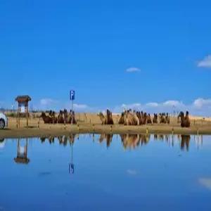 부산출발 몽골/울란바토르 6일 #4인이상출발 #엘승타사하이 #노팁노옵션노쇼핑