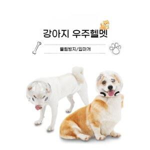 강아지 헬멧 물림방지 답답하지않은 입마개 물먹기가능