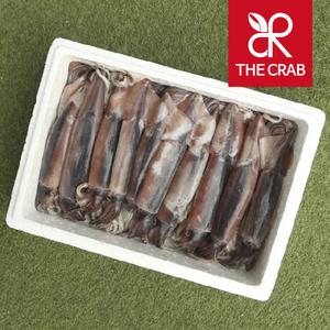 신진도 오징어 선동 초코오징어 30미 20미 서해안 신진항 생물 냉동오징