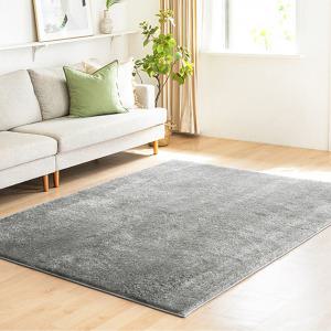 웰러그 고밀도 로맨스 장모 러그 워셔블 카페트 웜그레이, 27mm, 200x300, 1개