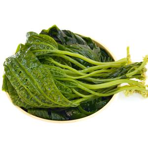 완도 생 곰피미역 곰보미역 쌈 쇠미역 2kg 생물 톳 톳나물