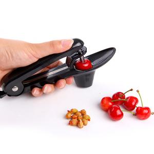 인블룸 대추 체리씨 제거기 _ 블랙