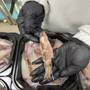 원양산 구룡포 고소한 급냉 통한치 500g x 1개/7~13미내외