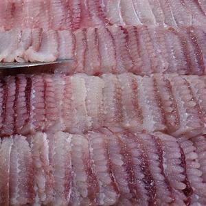 홍어회 생홍어 홍어 안삭힌홍어 국산 삭힌홍어 1kg