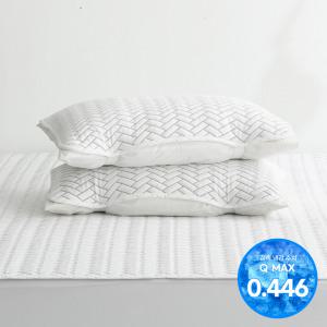 [애끌리아] 레그노 HR 3중직 밴딩 냉감 베개덮개 2장(50X70)